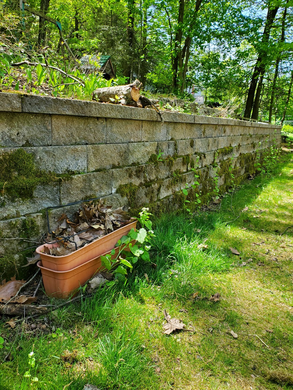 Top-of-The-Line Paver Cleaning and Moss Removal on Retaining Wall in Lake Mohawk, NJ