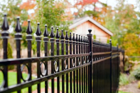 Fence Cleaning