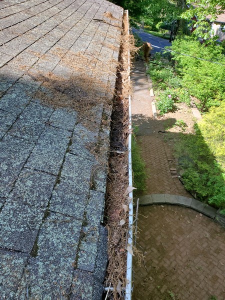 Gutter Cleaning