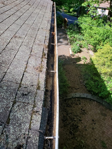 Gutter cleaning