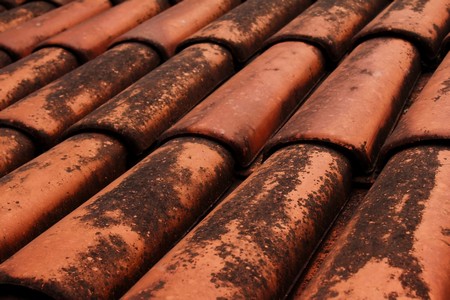 Roof Stain Removal