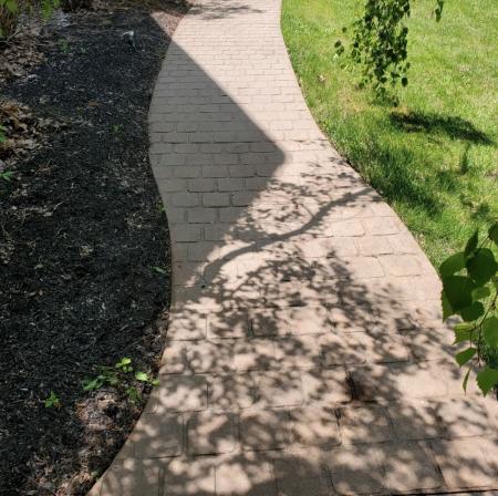 Sidewalk Cleaning