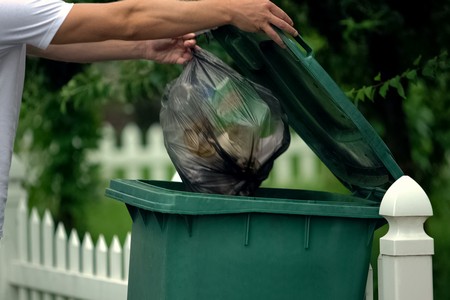 Trash Bin Cleaning